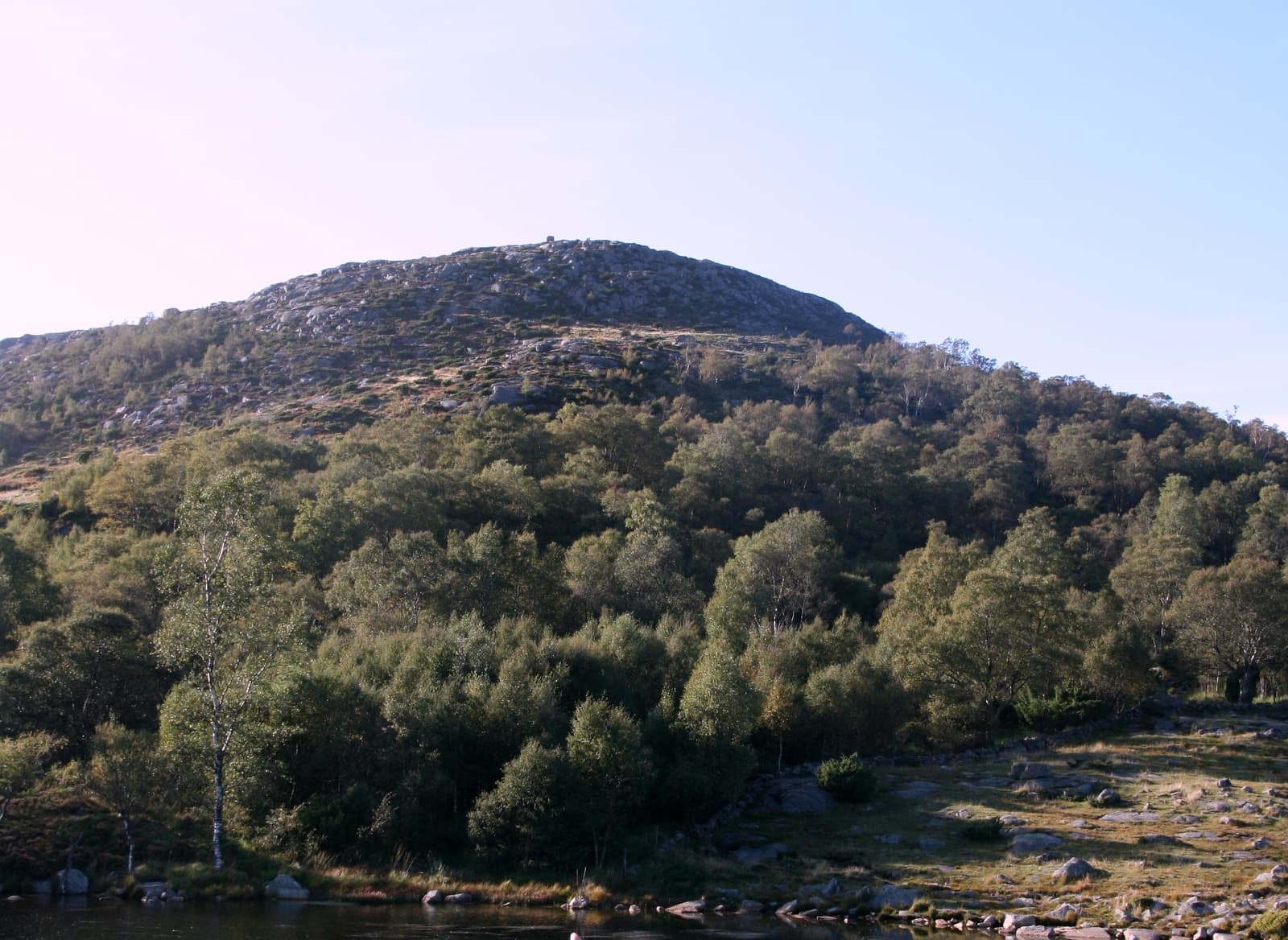 Dalsnuten