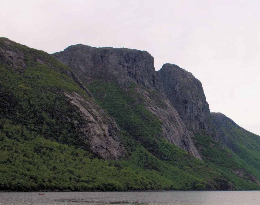 Reinaknuten